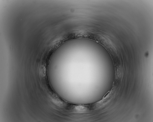 X0000099320183200805091050