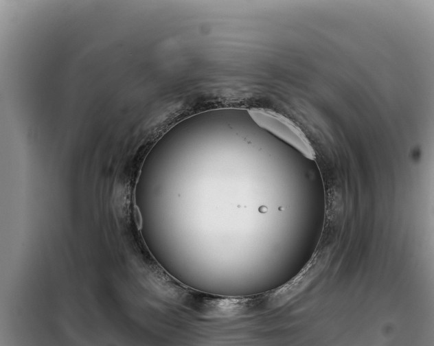 X0000099320184200805091050