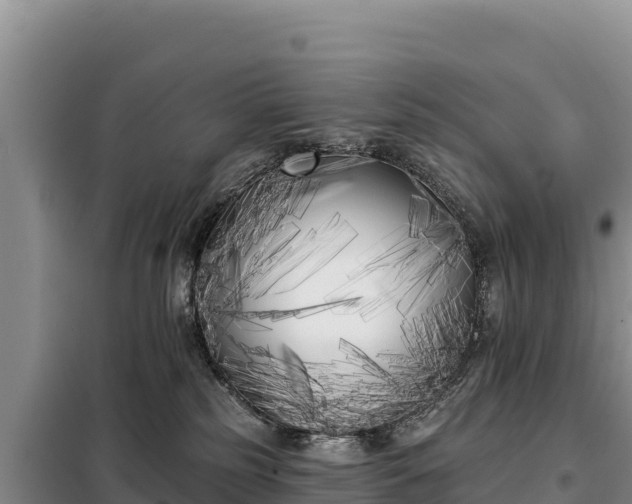 X0000099320185200805091050