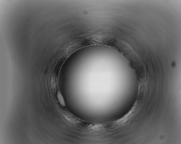 X0000099320186200805091050