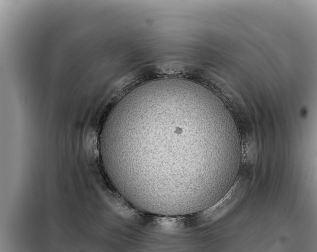 X0000099320187200805091050