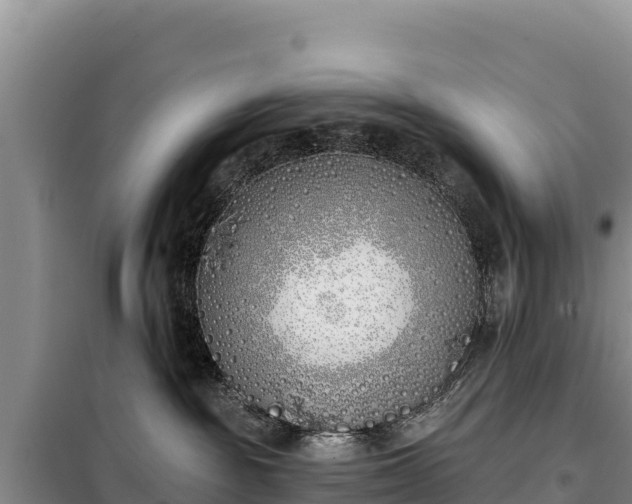 X0000099320189200805091050