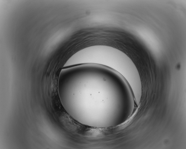 X0000099320190200805091050