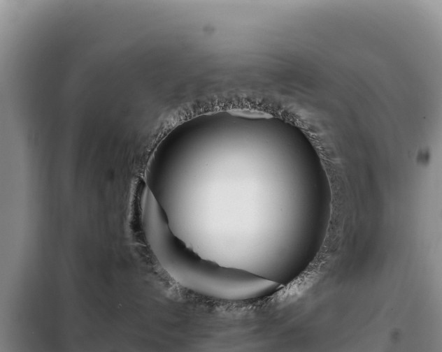 X0000099320192200805091050