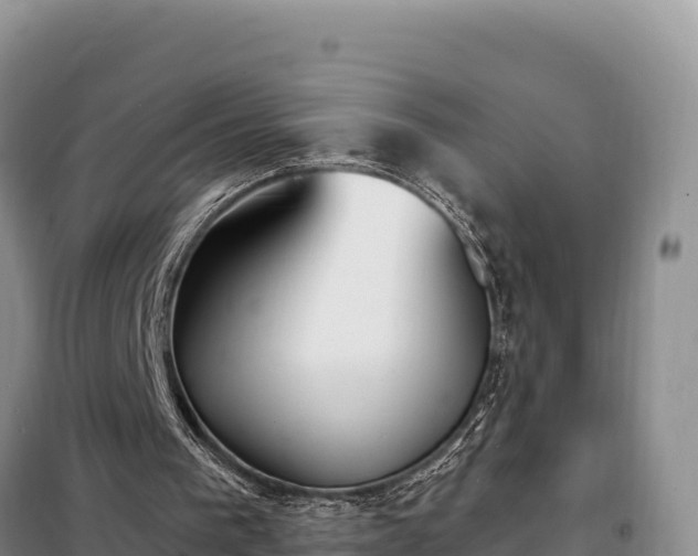 X0000099320193200805091049