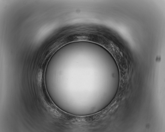 X0000099320194200805091049