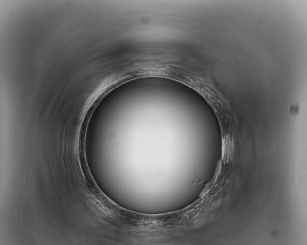 X0000099320195200805091049