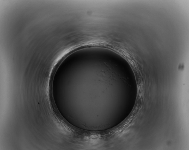 X0000099320196200805091049