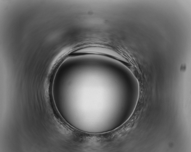 X0000099320197200805091049