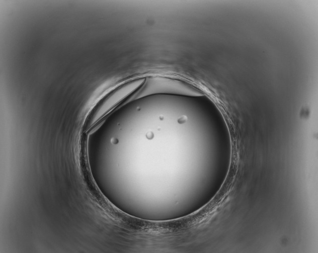 X0000099320199200805091049