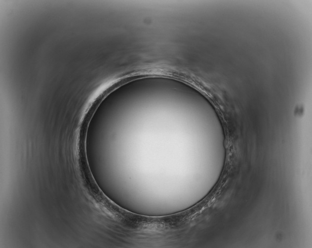 X0000099320200200805091049