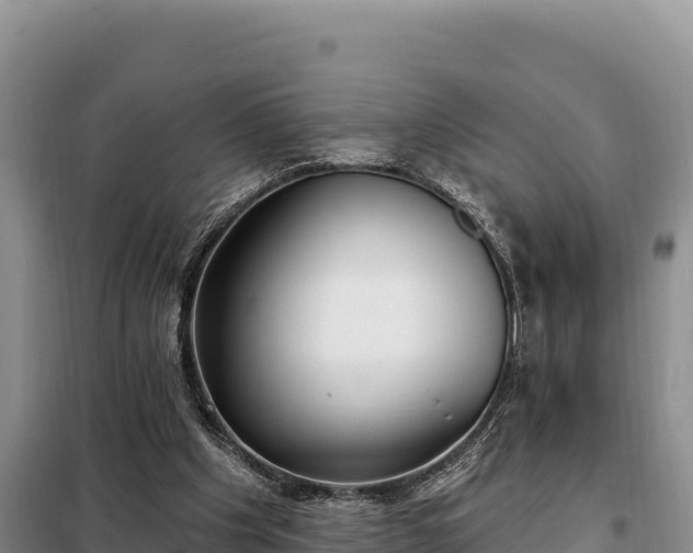 X0000099320201200805091049