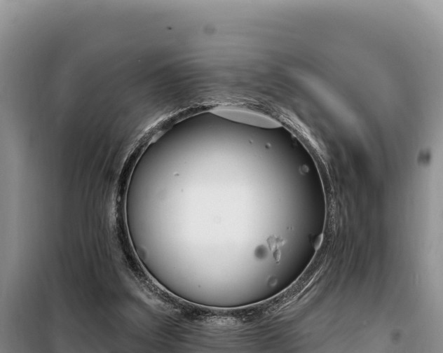 X0000099320203200805091049