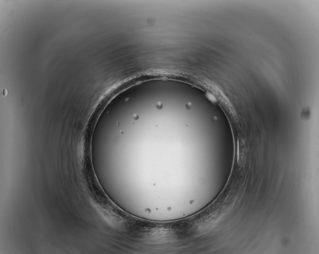 X0000099320204200805091049