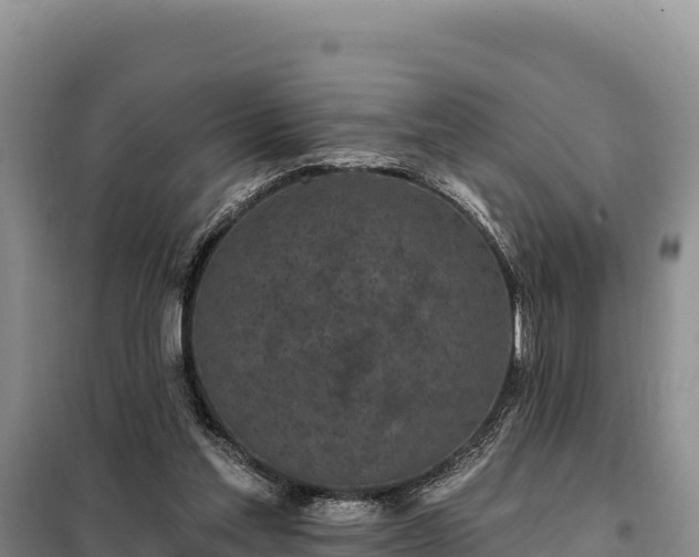 X0000099320205200805091049