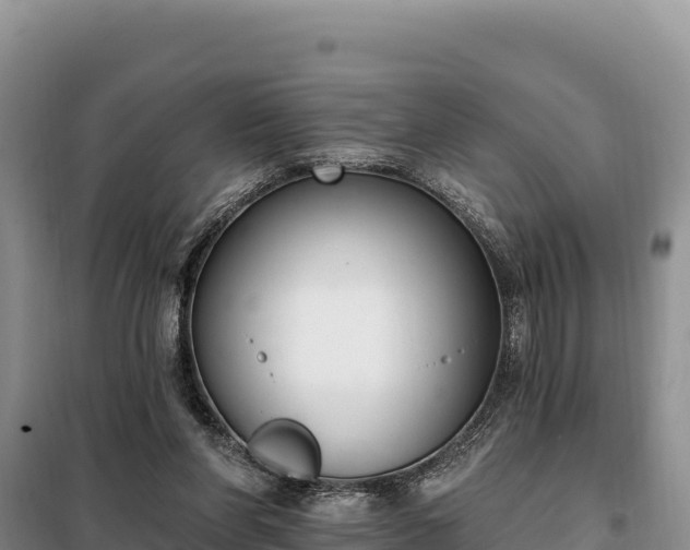 X0000099320206200805091049