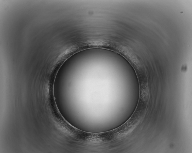 X0000099320207200805091049