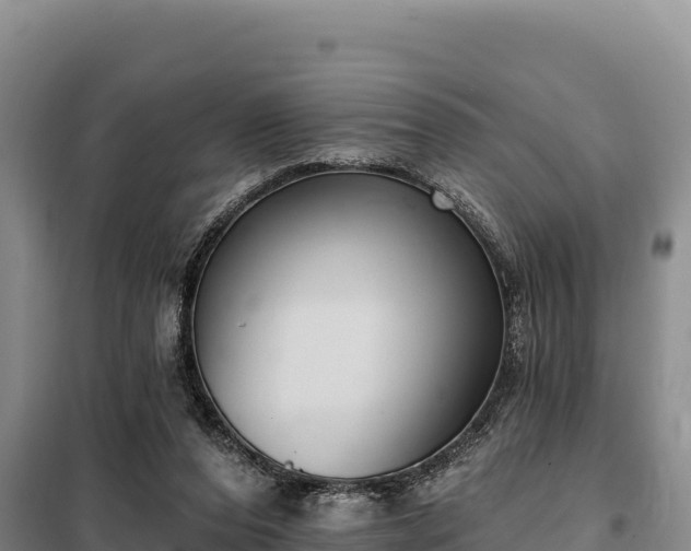 X0000099320208200805091049