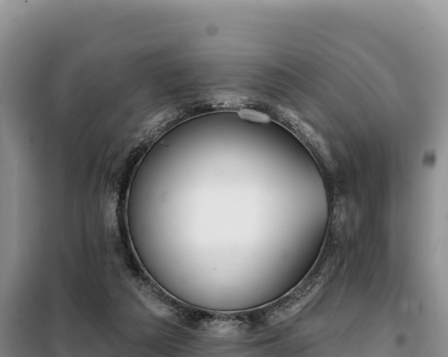 X0000099320209200805091049