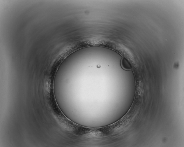 X0000099320210200805091049