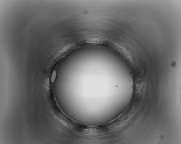 X0000099320211200805091049