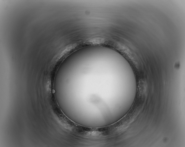 X0000099320212200805091049