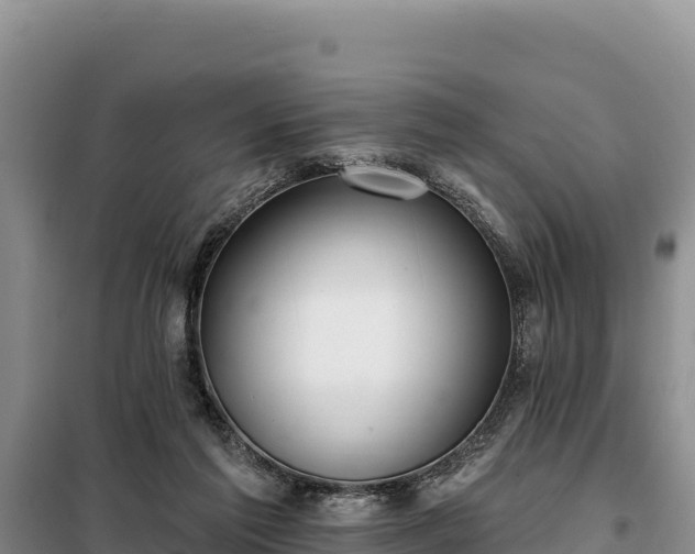 X0000099320213200805091049