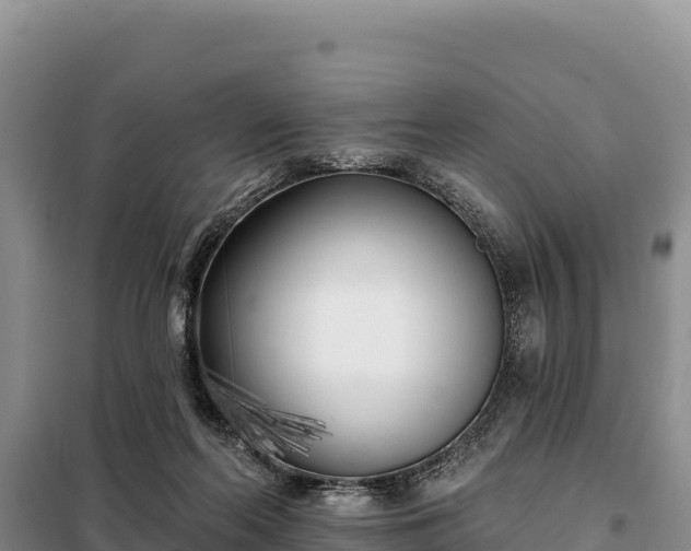 X0000099320214200805091049