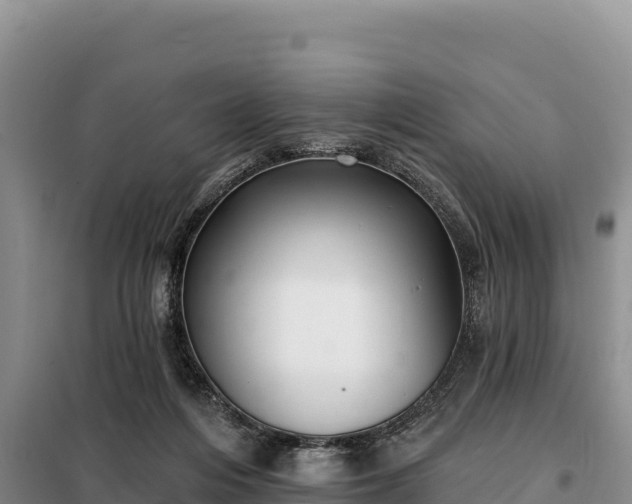 X0000099320216200805091049