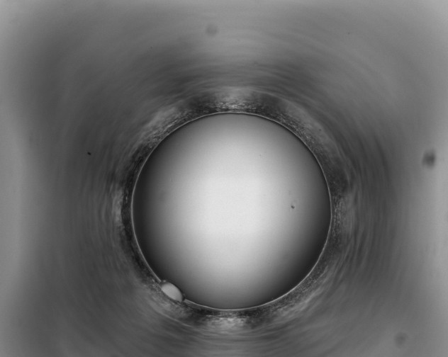 X0000099320217200805091049