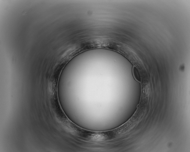 X0000099320218200805091049