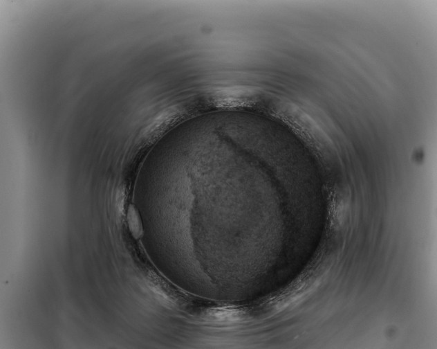 X0000099320219200805091049