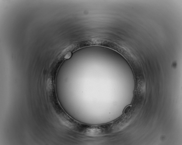 X0000099320220200805091049