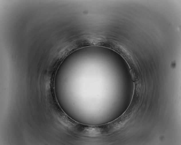 X0000099320221200805091049