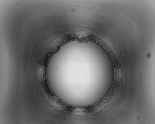 X0000099320222200805091049