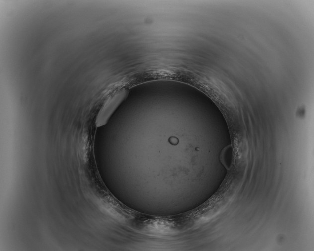 X0000099320223200805091049