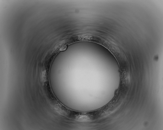 X0000099320224200805091049