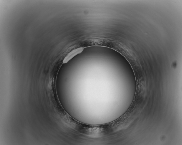 X0000099320225200805091049