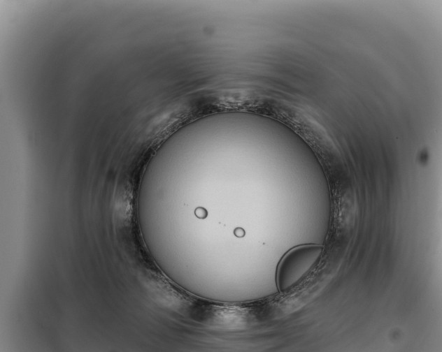 X0000099320226200805091049