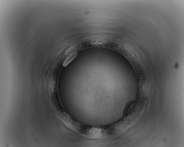 X0000099320227200805091049