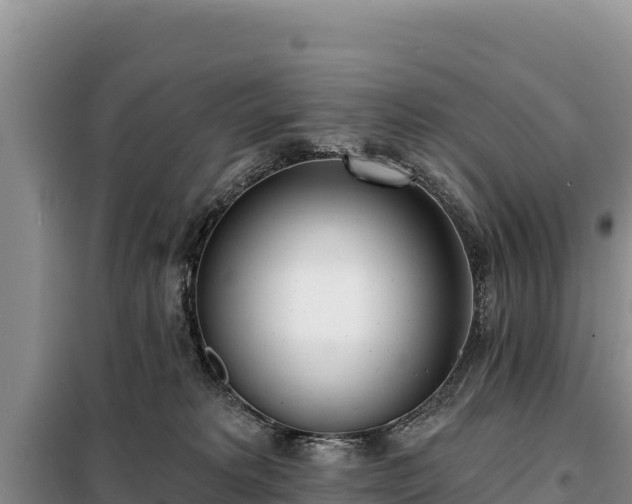 X0000099320229200805091049