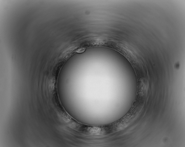 X0000099320230200805091049