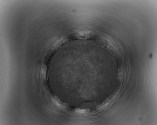 X0000099320231200805091049