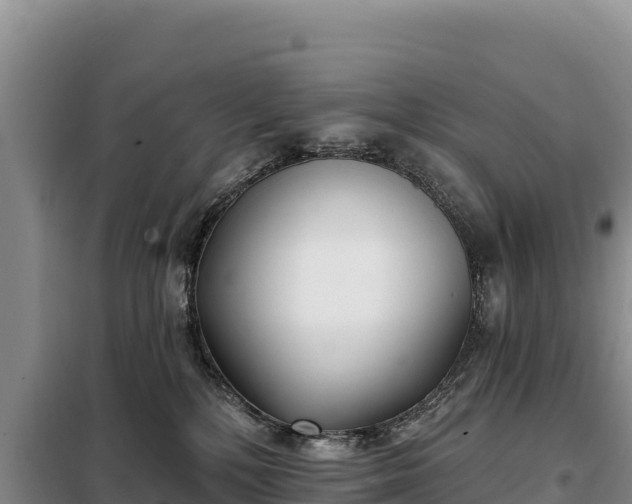 X0000099320232200805091049