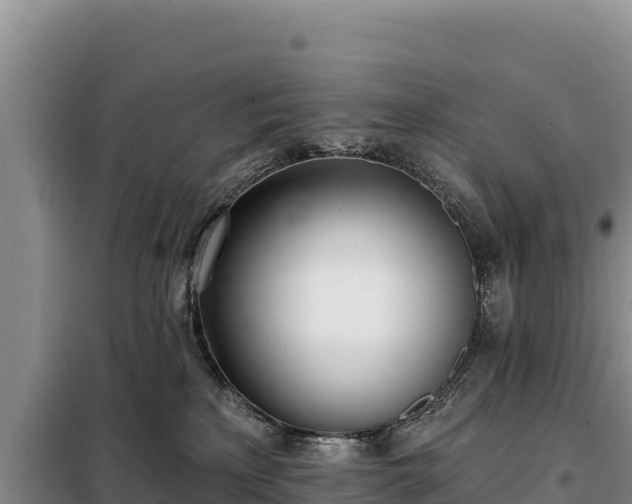 X0000099320233200805091049