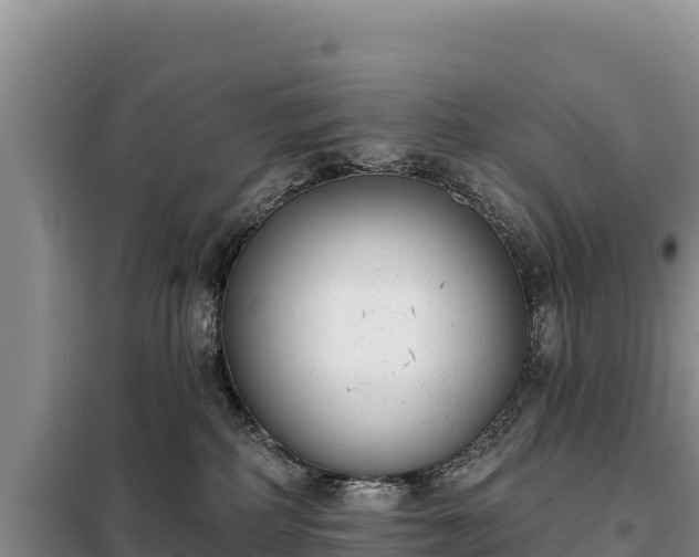 X0000099320234200805091049