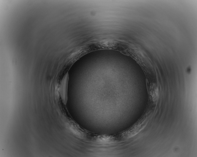 X0000099320235200805091049