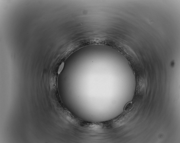 X0000099320236200805091049