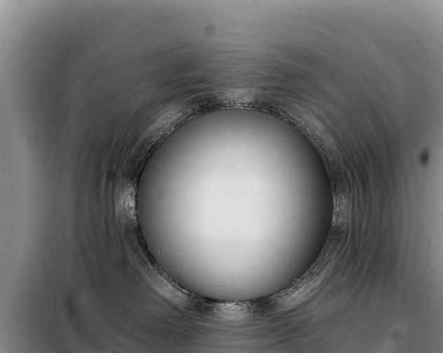 X0000099320238200805091049