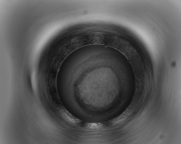 X0000099320239200805091049